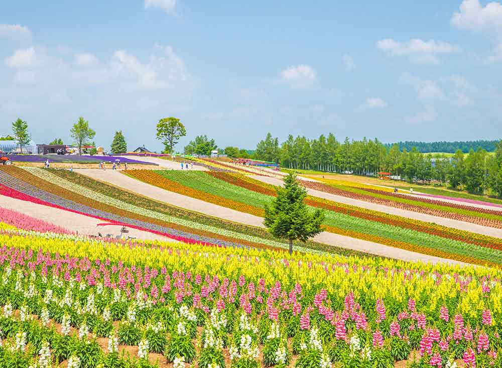 Hokkaido